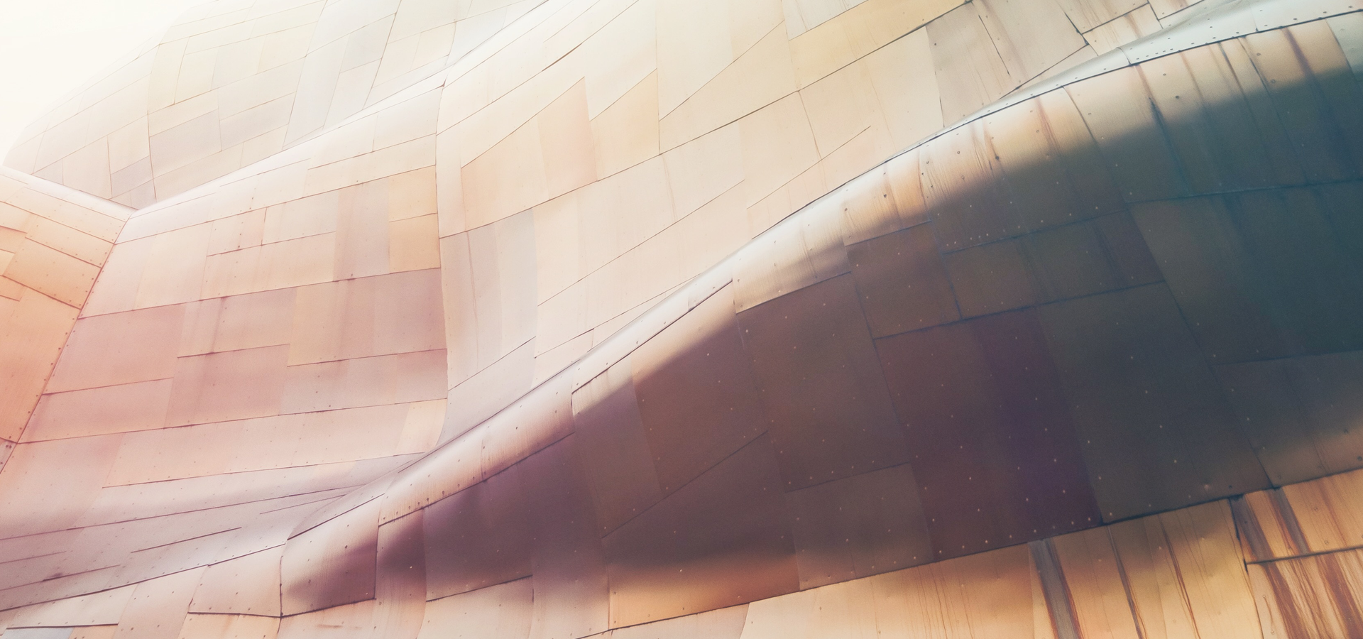 Business Services MENA